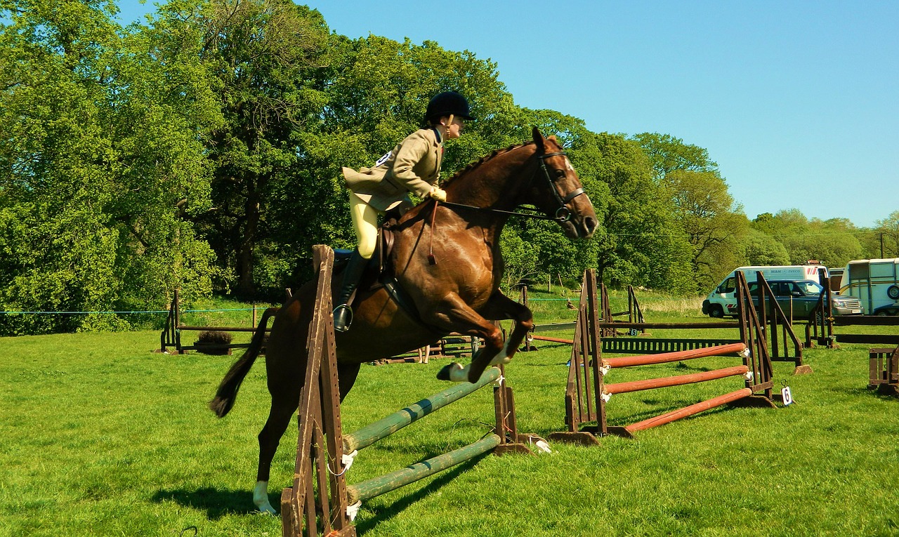horse rider and show jump